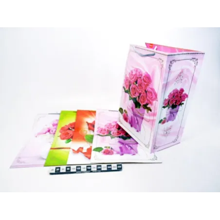 TORBA T-16 290*420*185 9973