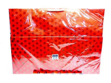 TOREBKA LAMINOWANA B13 2520