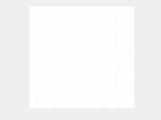 SERWETKI HRC BIALE 40X40CM 7340