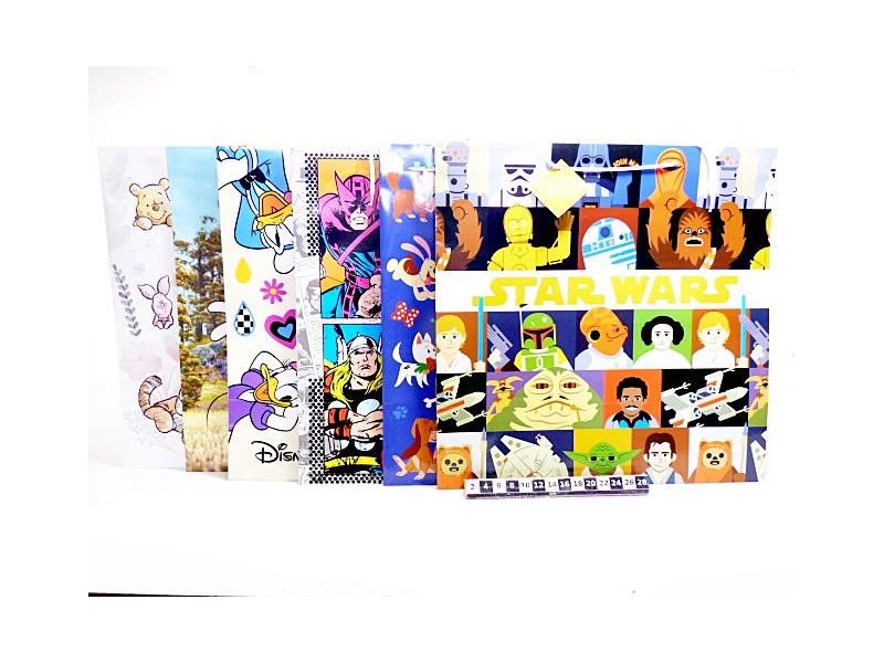 TORBA DISNEY TGD-75 XXL 500*500*250 1372