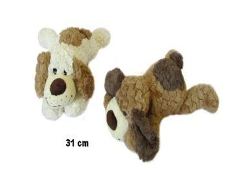 PIES LEZACY 2KOL 8811