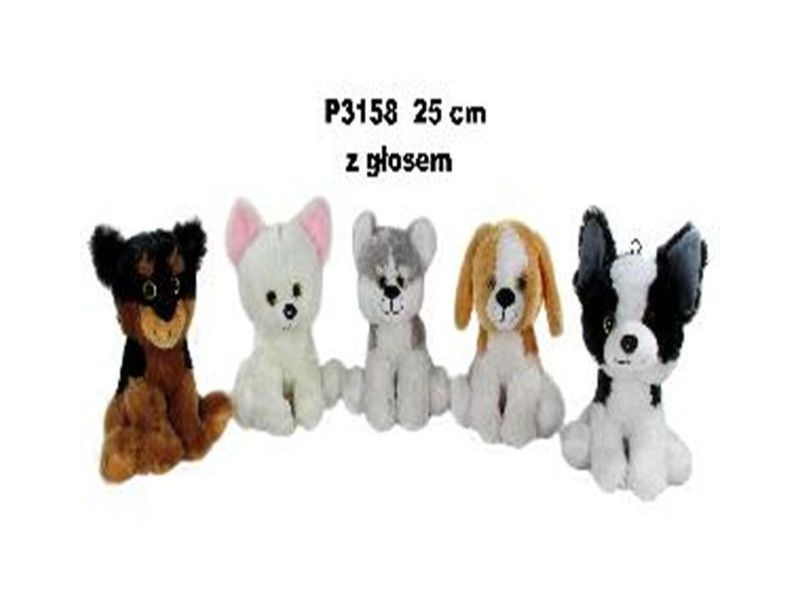 PIES Z GLOSEM 5KOL 25CM 2497