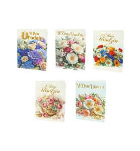 KARTKI B6 AGAMIS 977/854/006/500