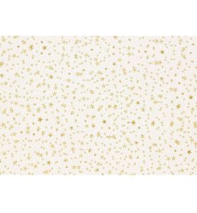 TORBA FOLIOWA 40/50 SWIATECZNA A25 0992