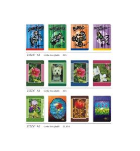 ZESZYT 32 KART. LINIA