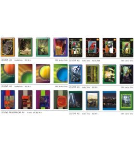 ZESZYT 80 KART. LINIA