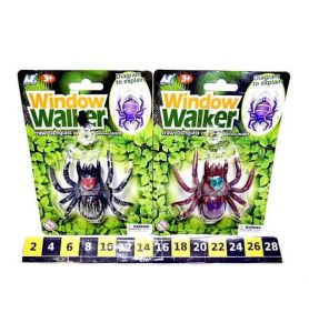 PAJAK CHODZACY PO SZYBIE 3342