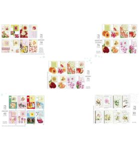 LAURKA B6W WYCINANA 33XX