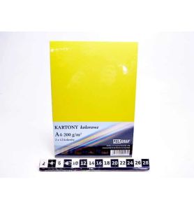 KARTON 12-KOLOROWY A4 200G 24K 4134