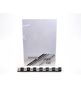 KARTON BIALY A4 220G A20 4158