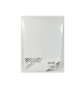 KARTON BIALY A3 220G A20 4165