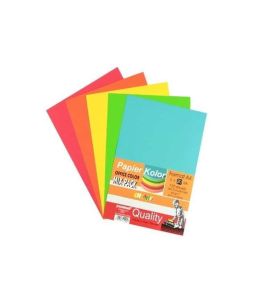 PAPIER OFFICE COLOR A4/100 STANDARD 0057