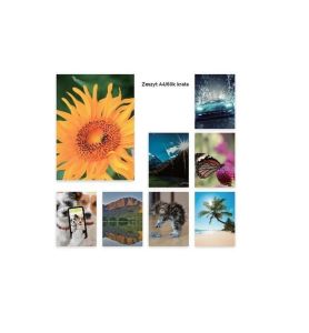 ZESZYT A4/60K KRATKA 1024