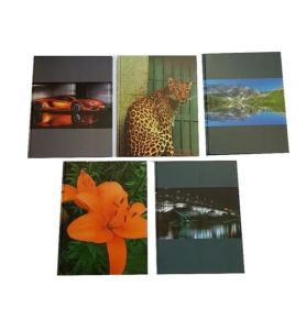 BRULION A4/96K KRATKA 0836