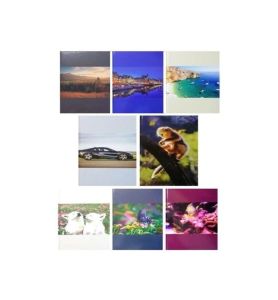 BRULION A5/96K KRATKA 1499