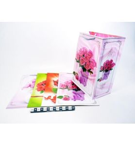 TORBA T-16 290*420*185 9973