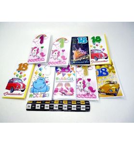 KARNET DL PREMIUM 18 I ROCZEK 3046