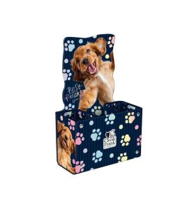 POJEMNIK NA PRZYBORY CLEO I FRANK 6127