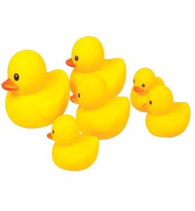 ZESTAW KACZEK W SIATCE 6 SZT. 1815