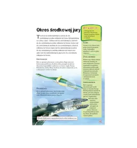 Mój Kolorowy Świat 9862 OK276 – Kolorowanka z Naklejkami | Hurt