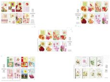 LAURKA B6W WYCINANA 33XX