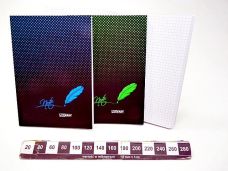 ZESZYT A5 80K. KRATA 90G 5919
