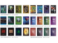 ZESZYT AKADEMICKI A4 96K KRATKA