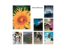 ZESZYT A4/60K KRATKA 1024