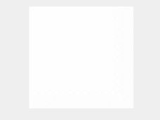 SERWETKI HRC BIALE 40X40CM 7340