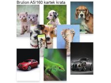 BRULION A5 160K KRATKA 3691