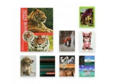 BRULION A7 96K KRATKA 1895