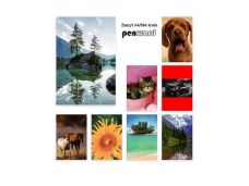 ZESZYT A4 96K KRATKA PAK.10 1000